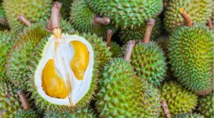 Durian