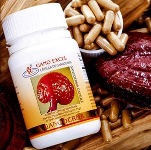 Ganoderma lucidum pills